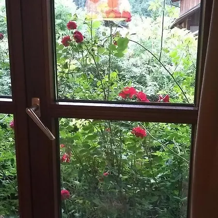 Appartement Sophia - Hallstatt