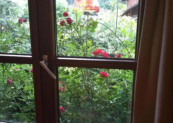 Apartment Sophia - Hallstatt